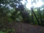 resized_IMG-20131003-WA0018.jpg