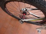 DSC01428.JPG