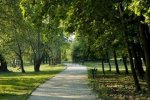 2550077-camino-a-traves-de-un-parque.jpg