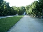 bruselas-55-parque-de-bruselas.jpg