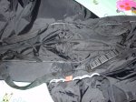 Optimized-DSC06927.JPG