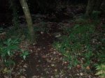 resized_20131023_192315.jpg
