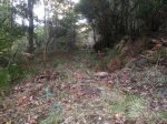 resized_20131023_192334.jpg