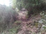 resized_20131023_192411.jpg