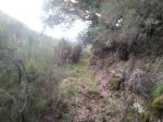 resized_20131023_192420.jpg