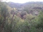 resized_20131023_192428.jpg