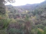 resized_20131023_192458.jpg