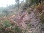 resized_20131023_192700.jpg