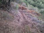 resized_20131023_192729.jpg