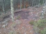 resized_20131023_192911.jpg