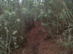 resized_20131023_193035.jpg