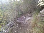 resized_20131023_193244.jpg