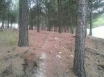 IMG-20131024-WA0005.jpg