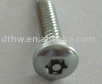 Security_Screw_Torx_Pin_Head.jpg