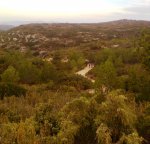 Imagen2561.jpg