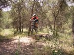 super motard fly.JPG