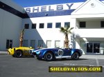 ac cobra01.jpg