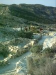Ruta por el pantano de Elche 001.jpg