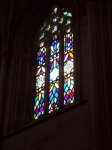 P8170059 (Medium).JPG
