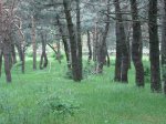 P0000014_redimensionar.JPG