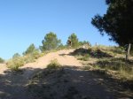 DSC00731.JPG
