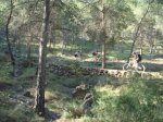 DSC00742.JPG