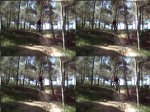 DSC00757 rec2.jpg