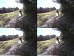 DSC00758-1.JPG