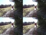 DSC00758-2.JPG