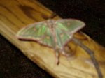 P5050205 (Medium).JPG