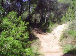 kdd la vallesa 20-5-07 013.jpg