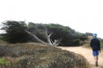 Cal_046.jpg