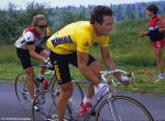 hinault_yellow.jpg