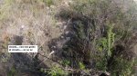 casi me grabo la chufa_800x450.jpg