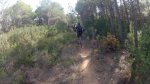 senda_800x450.jpg