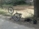 20131026_130052.jpg