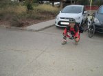 IMG_3560.JPG