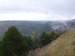 P1010243.jpg