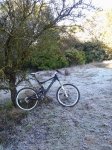 2012-01-11 13.01.21.jpg