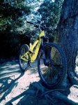 IMG-20131027-WA005.jpg