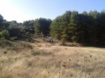 20131027_102826.jpg