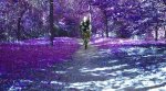 DSC0098983996669.jpg