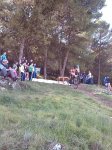 IMG_20131027_121259.jpg