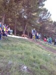 IMG_20131027_121812.jpg