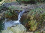 PA270347.jpg