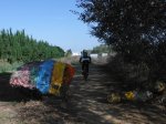 DSCF8405 copia.jpg