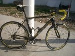 Scott CX Team V.JPG