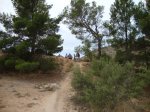 DSC00576.jpg