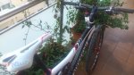 DSC_1280s.jpg
