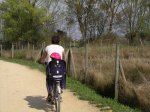 bici-salburua.jpg